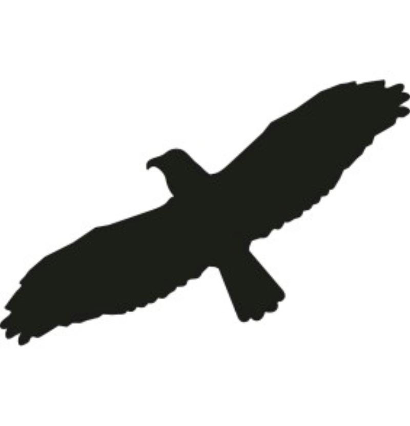 SYMBOL BIRD OF PREY 210X130 MM