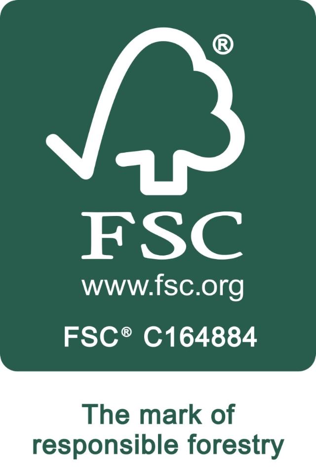 Festool Filter bag SC-FIS-CT MINI/5