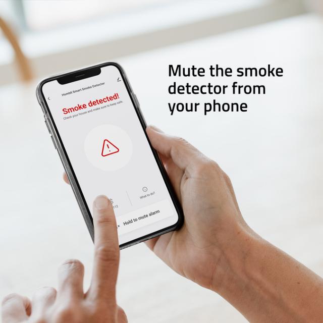 Hombli Smart Smoke Detector, Grey
