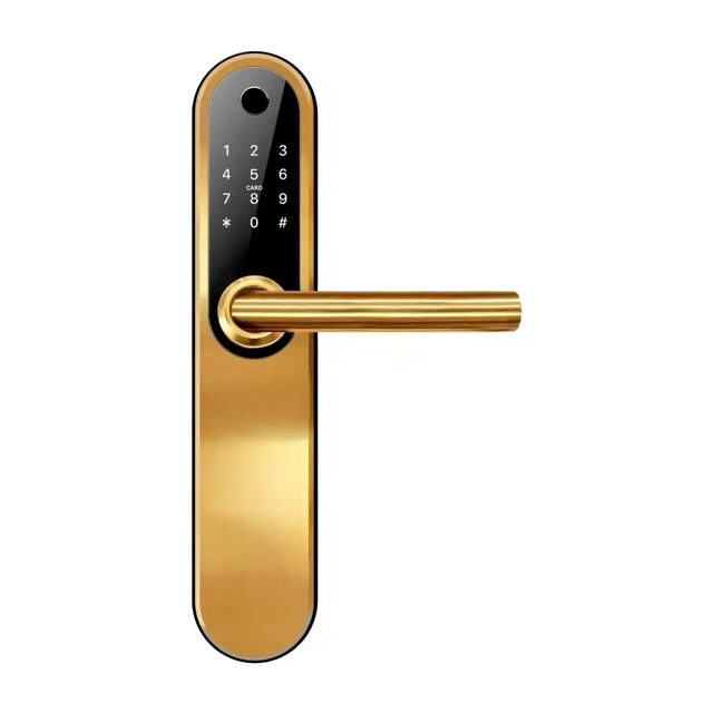 Jasa GUARD Elektronisk dørlås universal - 60 mm - Mat messing